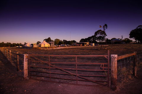 Bukirk Glamping & Fancy Coops - Accommodation Gladstone 33