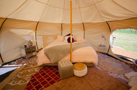 Bukirk Glamping & Fancy Coops - Accommodation Gladstone 4