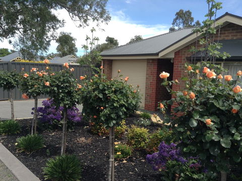 C And C Tanunda - Accommodation Gladstone 1
