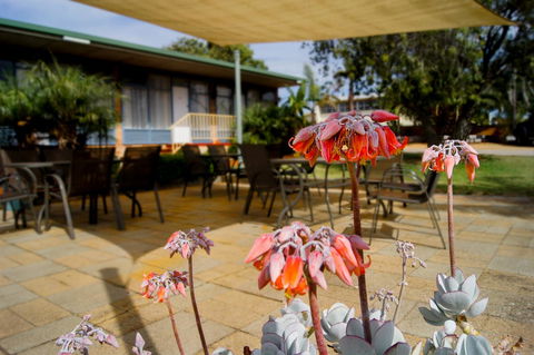 Kangaroo Island Seaview Motel - Accommodation Gladstone 3