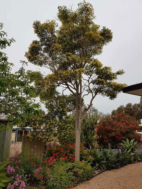 Sinclair Cottage - Accommodation Gladstone 25