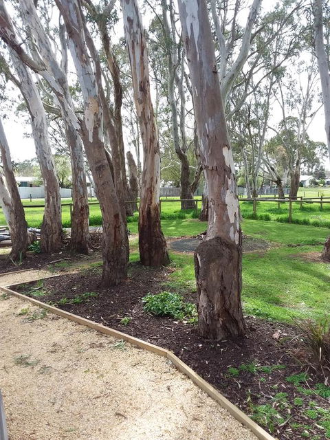 Cloisters Of Kalangadoo - Accommodation Gladstone 6