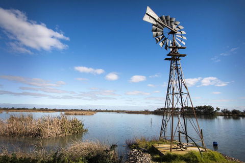 Limestone Ridge - Accommodation Gladstone 16