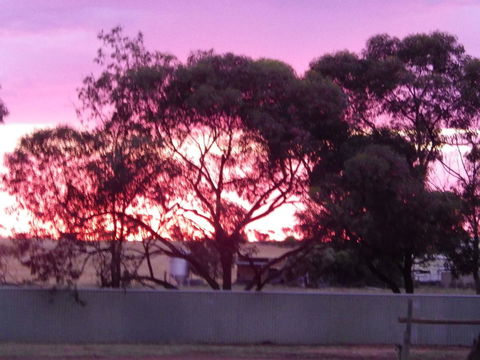 Wudinna Gawler Ranges Motel And Caravan Park - Accommodation Gladstone 11