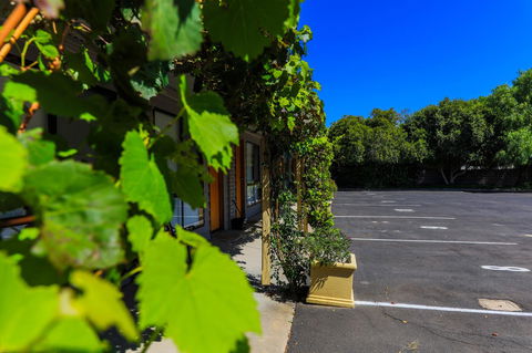 Country Roads Motor Inn Naracoorte - Accommodation Gladstone 16