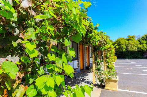 Country Roads Motor Inn Naracoorte - Accommodation Gladstone 18