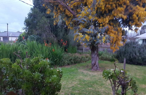 Ruby\'s Cottage - Accommodation Gladstone 19