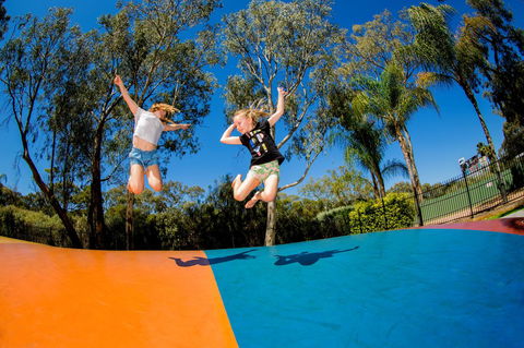 BIG4 Renmark Riverfront Holiday Park - Accommodation Gladstone 37