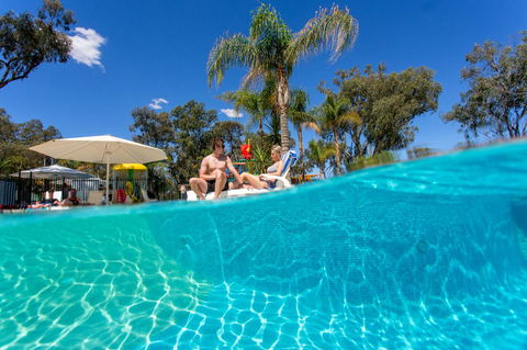 BIG4 Renmark Riverfront Holiday Park - Accommodation Gladstone 3