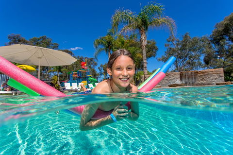 BIG4 Renmark Riverfront Holiday Park - Accommodation Gladstone 19