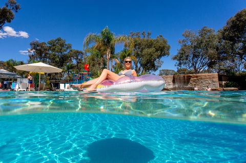 BIG4 Renmark Riverfront Holiday Park - Accommodation Gladstone 18