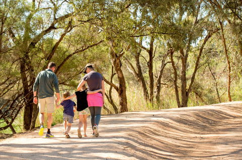 BIG4 Renmark Riverfront Holiday Park - Accommodation Gladstone 13