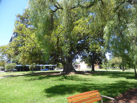 ADELAIDE CENTRAL APARTMENT - 3BR, 2BATH & CARPARK - Accommodation Gladstone 30