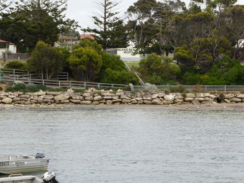 Island Motel Kingscote - Accommodation Gladstone 4