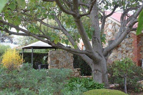 Langmeil Cottages - Accommodation Gladstone 3