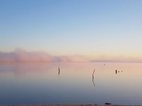 Barmera Lake Resort Motel - Accommodation Gladstone 3