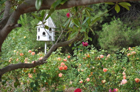 The Lyndoch Motel - Accommodation Gladstone 2