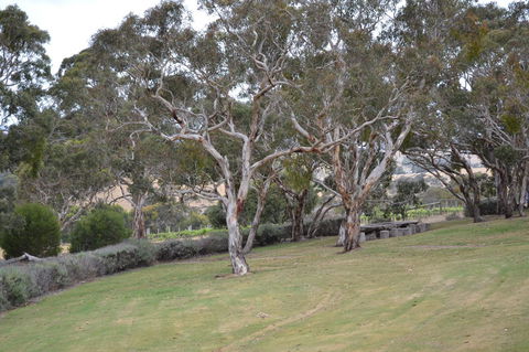 Cabernet Cottage - Accommodation Gladstone 8