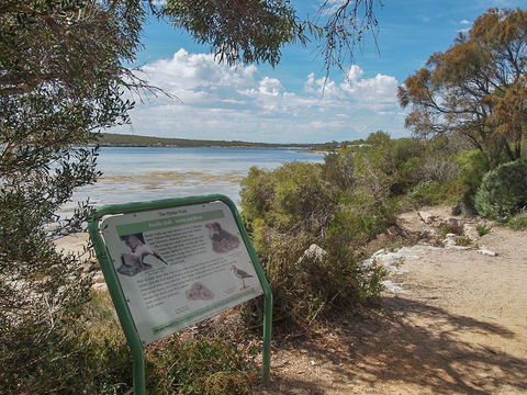 Willygunyah - Accommodation Gladstone 31