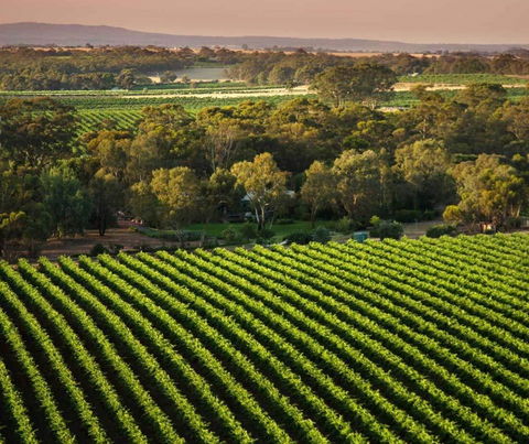 The Reserve Barossa Valley - Accommodation Gladstone 1