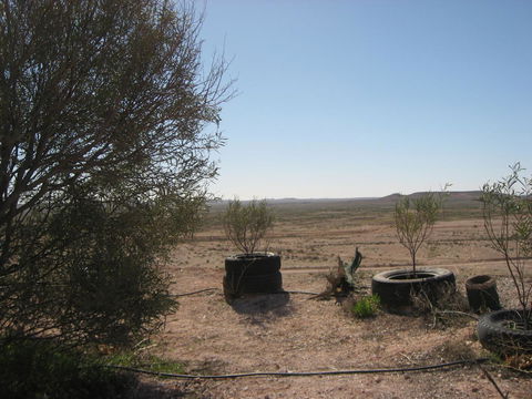 Venushill B+B - Accommodation Gladstone 32