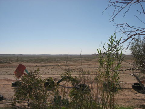 Venushill B+B - Accommodation Gladstone 35