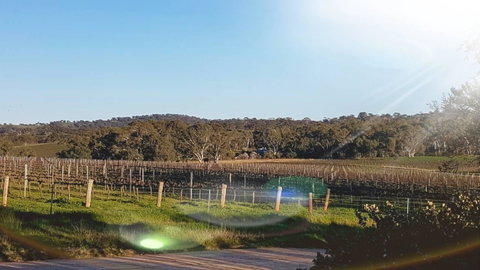 D2 At Watervale - Accommodation Gladstone 23