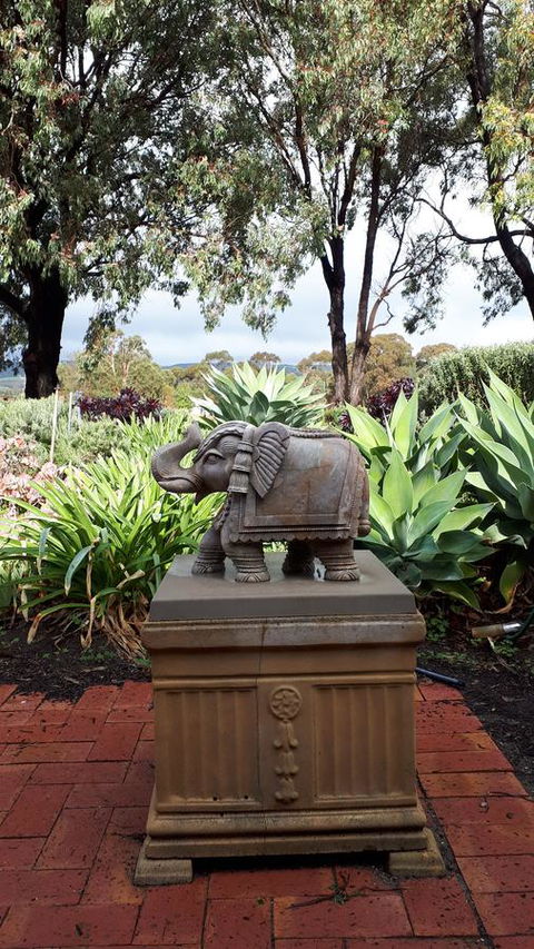 Linger Longer Vineyard - Accommodation Gladstone 18