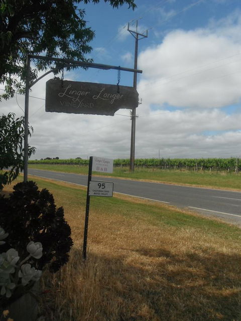 Linger Longer Vineyard - Accommodation Gladstone 19