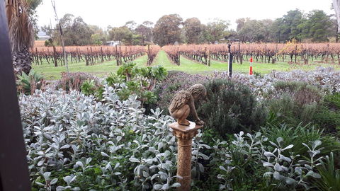 Linger Longer Vineyard - Accommodation Gladstone 4