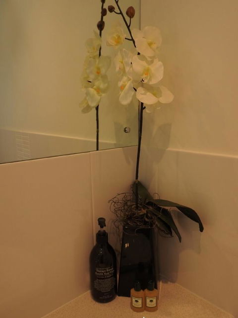Sanctuary In The Valley - Accommodation Gladstone 21