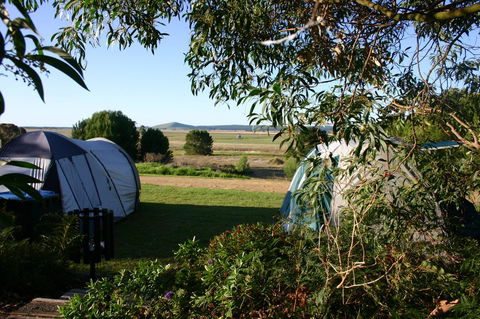 Millicent Hillview Caravan Park - Accommodation Gladstone 43