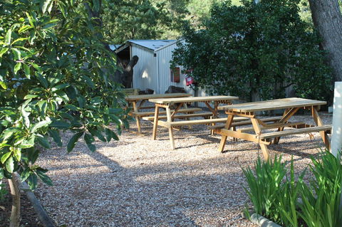 Millicent Hillview Caravan Park - Accommodation Gladstone 9