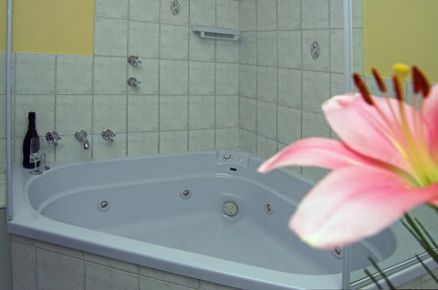Victoria Hotel Strathalbyn - Accommodation Gladstone 15