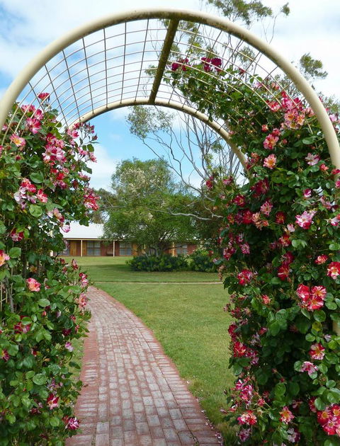 Coonawarra Place Motor Inn - Accommodation Gladstone 20