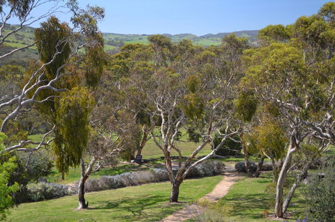 Shiraz Cottage - Accommodation Gladstone 9