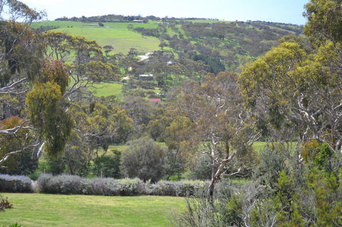 Shiraz Cottage - Accommodation Gladstone 8