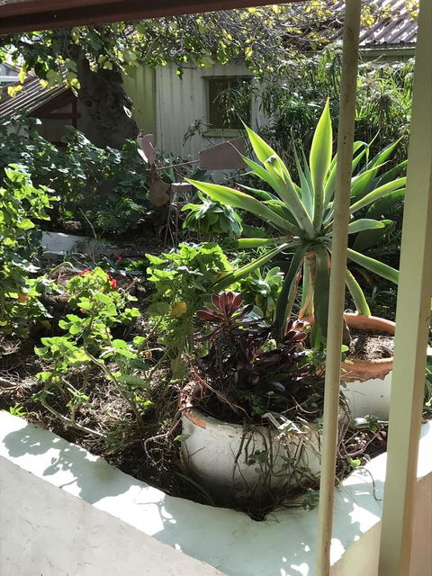 Cosy Nook - Accommodation Gladstone 19