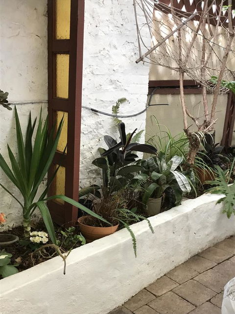 Cosy Nook - Accommodation Gladstone 16