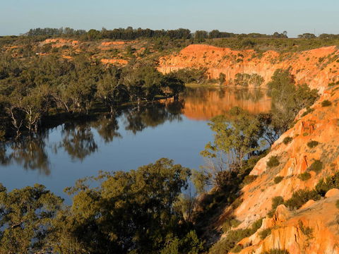 Echo Holiday Parks - Renmark - Accommodation Gladstone 11