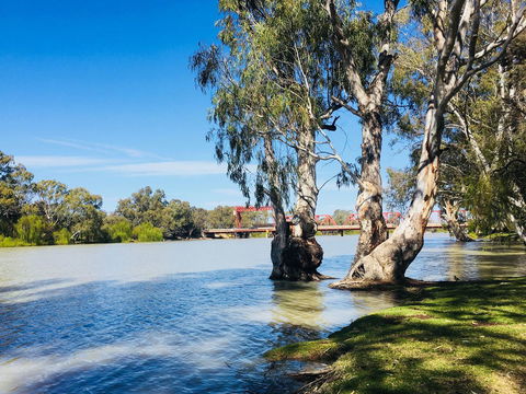 Echo Holiday Parks - Renmark - Accommodation Gladstone 5