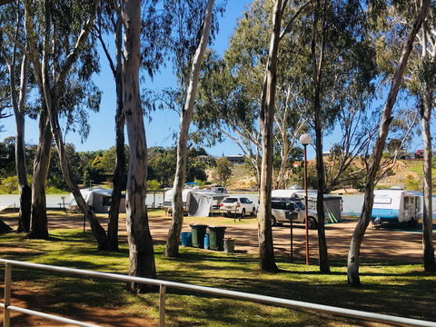 Echo Holiday Parks - Renmark - Accommodation Gladstone 7