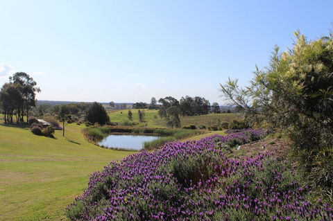Beltana Villas - Accommodation Gladstone 7
