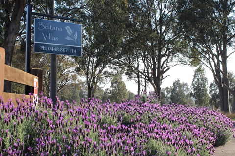 Beltana Villas - Accommodation Gladstone 10