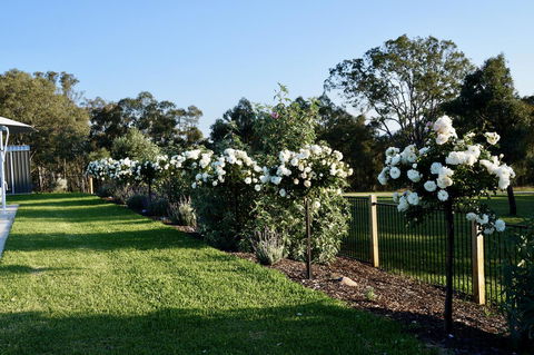 Beltana Villas - Accommodation Gladstone 2