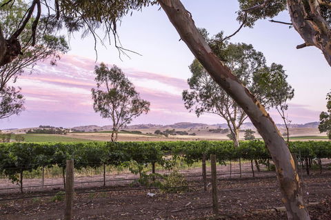 Jasmine\'s Barossa Valley Cottage - Accommodation Gladstone 19