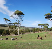Lisieux Farm Bed and Breakfast - Accommodation Gladstone