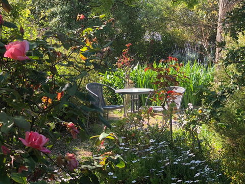 Treasured Memories Cottage - Accommodation Gladstone 17