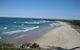 Casuarina 1 - thumb 12