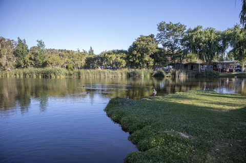 Karrinyup Waters Resort - Accommodation Gladstone 15